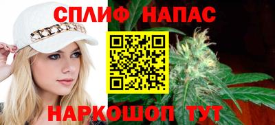 мдпв Будённовск