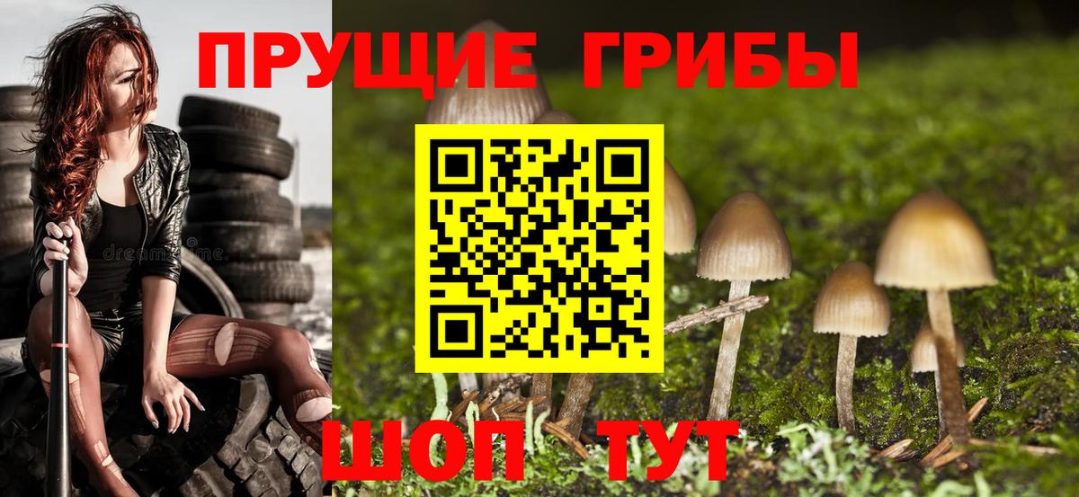 где купить наркоту  Псилоцибиновые грибы Psilocybine cubensis  Вход с VPN  Семёнов 